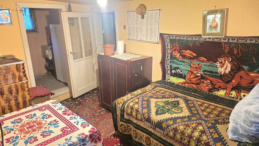 Casă cu 3 camere cu Teren 766 Mp în Viile Noi