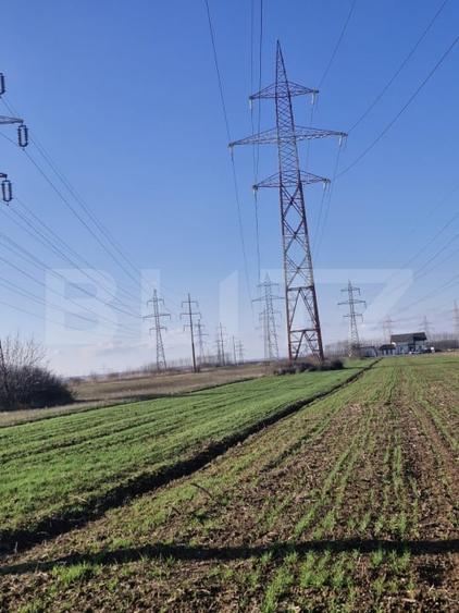 Teren agricol extravilan de 5000 mp, în Sud