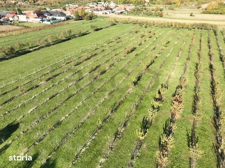 Teren de 14527 mp, în Aușeu