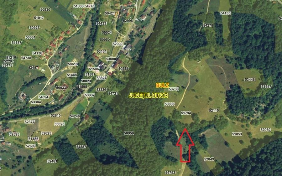 Teren Construcții intravilan de 31258 mp, în Remeți