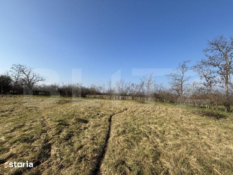 Teren intravilan, 500 mp, zona Beregsau Mare - 2