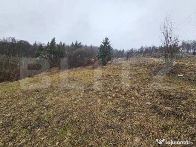 Teren de 7297 mp, în Dăroaia