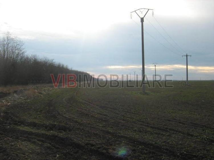 Teren de 61830 mp, în Belciugatele