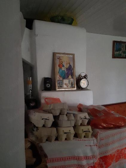 Teren de 2024 mp, în Comani