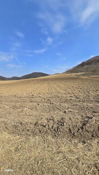 Teren de 7000 mp, în Hoghilag