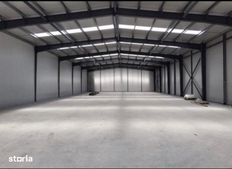 Hale de 500mp si 600mp in zona Progresul, Jilava - 7