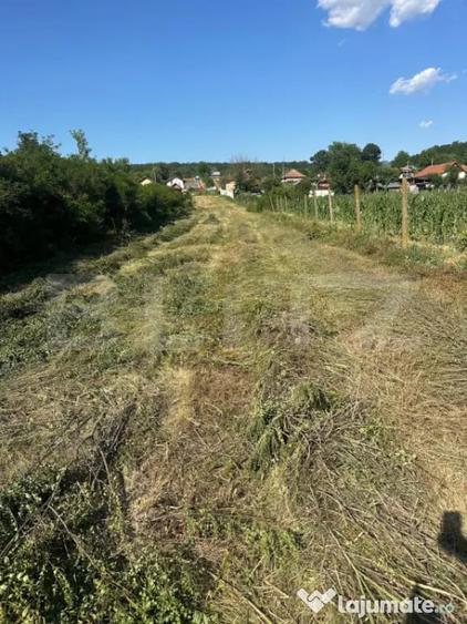 Teren de 2280 mp, în Primăverii
