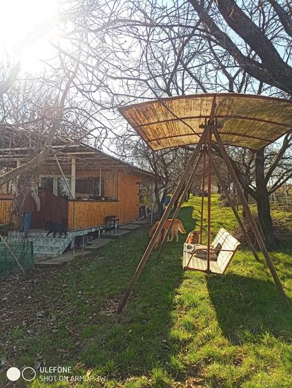 Teren în Goruni