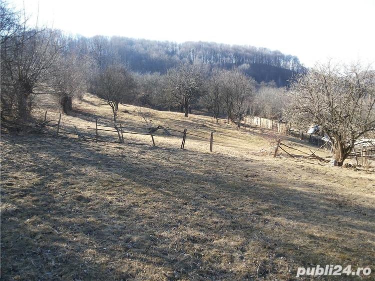 Teren de 12500 mp, în Câmpulung Muscel