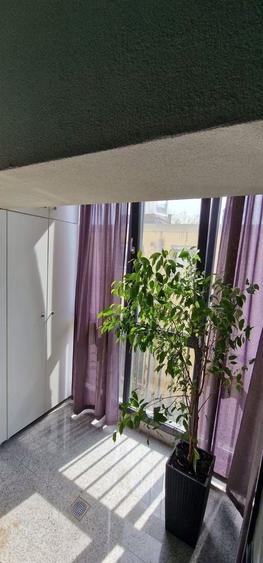 Apartament cu 2 camere în Lacul Morii