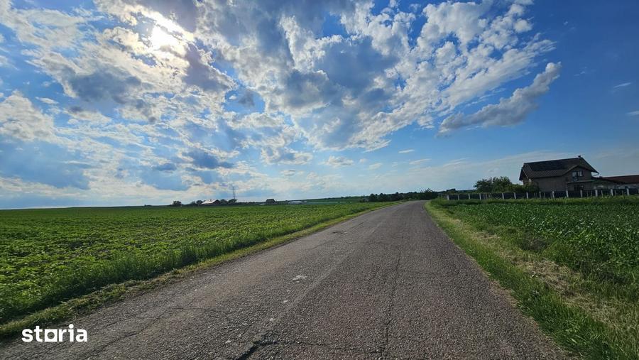 Teren de 29800 mp, în Horlești