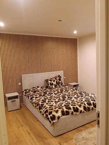 Apartament cu 2 camere decomandat în Sud