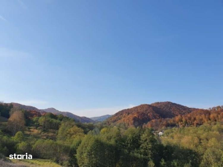 Teren de 20000 mp, în Valea
