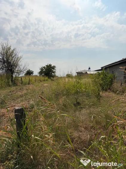 Teren intravilan 1.000 mp in Malu Mare, ideal pentru constr - Malu Mare (Dolj) - 1