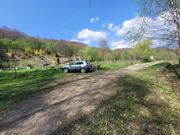 Teren de 4000 mp, în Satu Mare