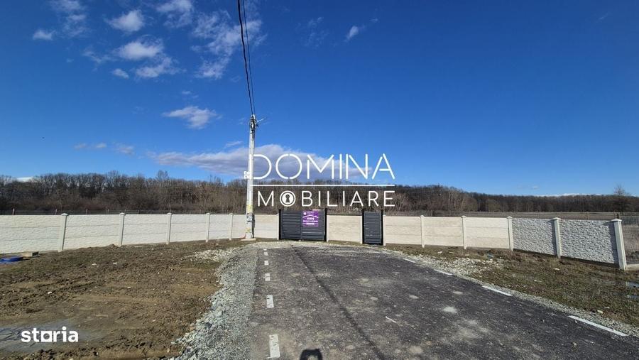 Spațiu comercial, în Cârbești