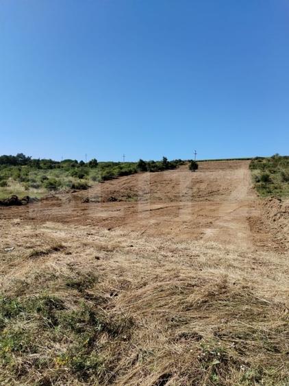 Teren Construcții intravilan de 10000 mp, în Șorogari