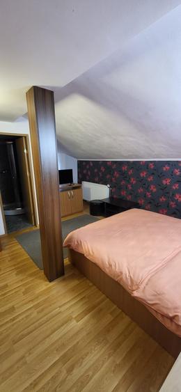 Apartament cu 2 camere în Bușteni