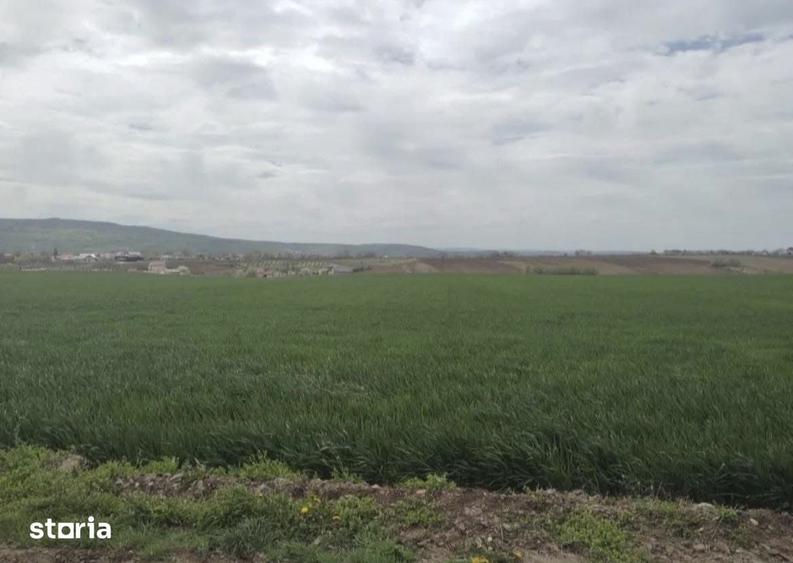 Teren de 5000 mp, în Holboca