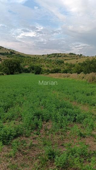 Vand Teren intravilan zona de munte Buzau Comuna Chiojdu