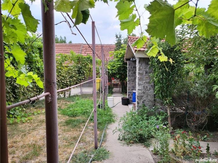 Casă cu 5 camere în Jimbolia