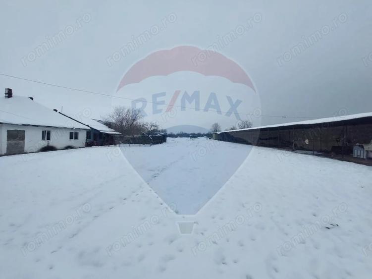 Casă cu 5 camere cu Teren 7531 Mp în Sacu