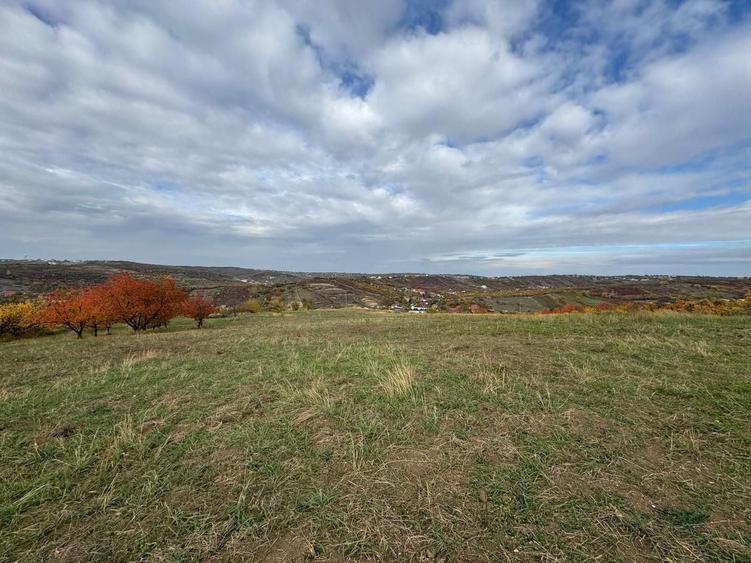 Teren intravilan de 3649 mp, în Dealuri Oradea