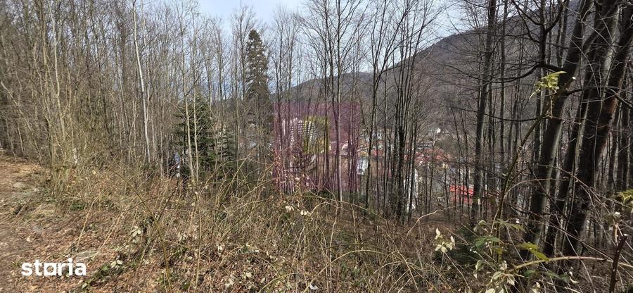 Teren de 338 mp, în Central