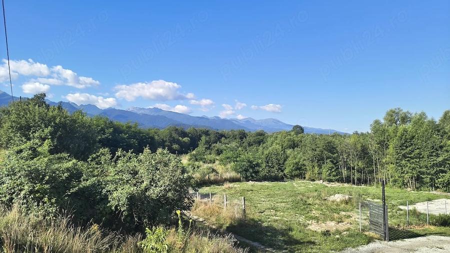 Teren de 1100 mp, în Arpașu de Sus