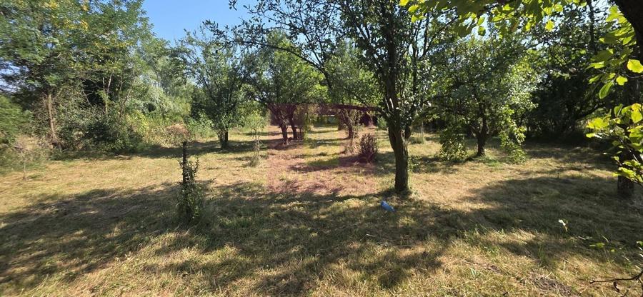 Teren intravilan de vanzare 3375 mp in Brebu - 4