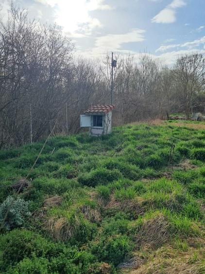 Casă cu 4 camere în Uzlina