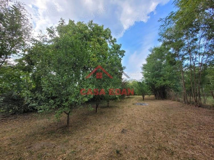 Casă cu Teren 2093 Mp în Bănești
