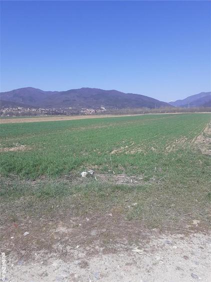 Teren de 2000 mp, în Jiblea Nouă