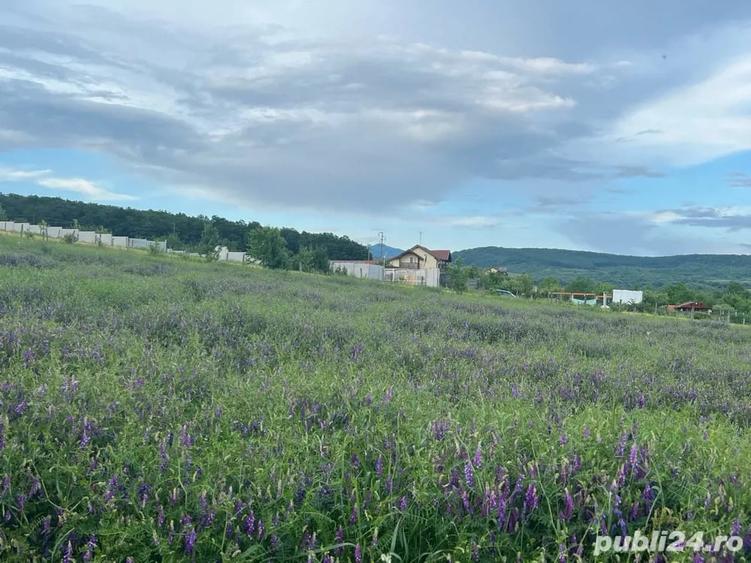 Teren de 16500 mp, în Bârsău