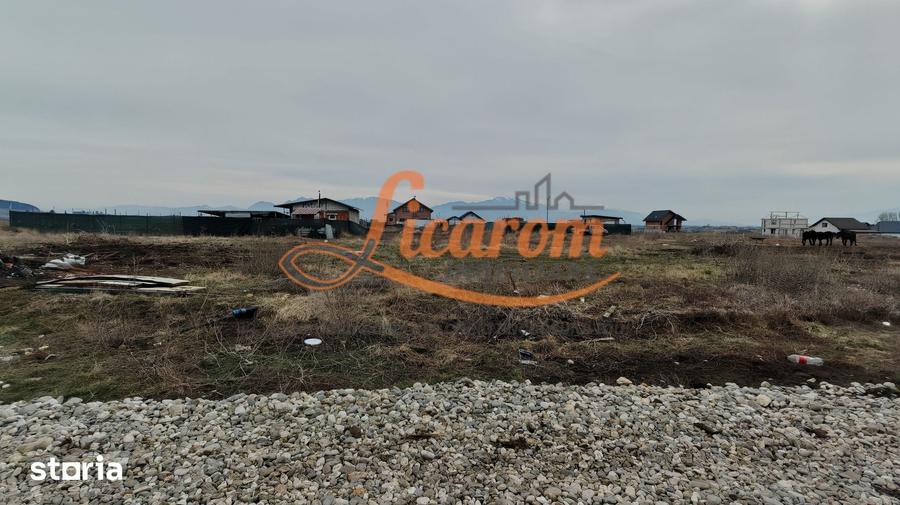 Teren intravilan in suprafata de 644 mp in Sanpetru pret 37000 euro - 3
