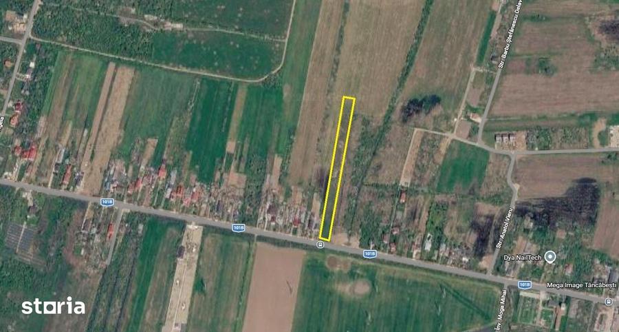 Teren de 6296 mp, în Snagov