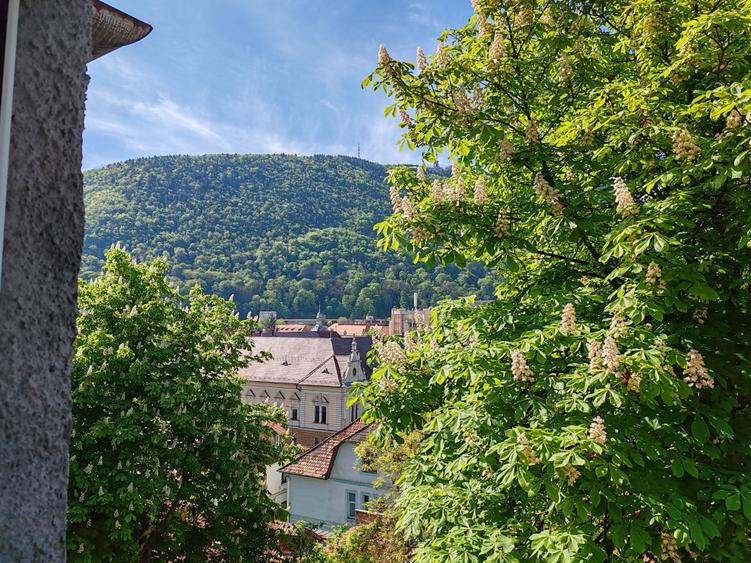 Apartament cu 3 camere decomandat în Ultracentral