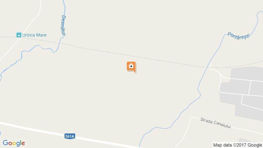 Teren agricol extravilan de 400000 mp, în Giurgița