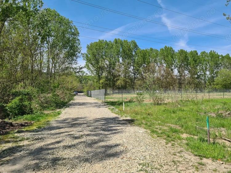 Teren de 5300 mp, în Agrement Ostroveni