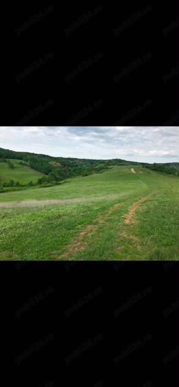 Casă cu Teren 1500 Mp în Igirosu