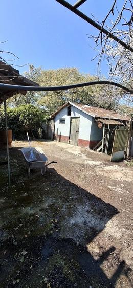 Casă cu Teren 1506 Mp în Brădeanu