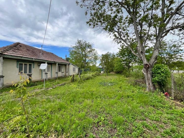 Casă individuală cu 4 camere cu Teren 4430 Mp în Tecucelu Sec