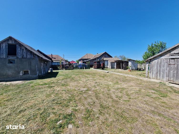 Casă cu 6 camere cu Teren 4780 Mp în Homorog