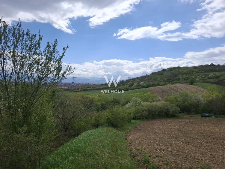 Teren agricol extravilan de 18175 mp, în Gușterița