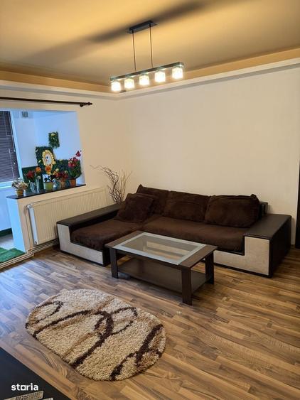 Apartament 2 camere, Parter, Banat - 1
