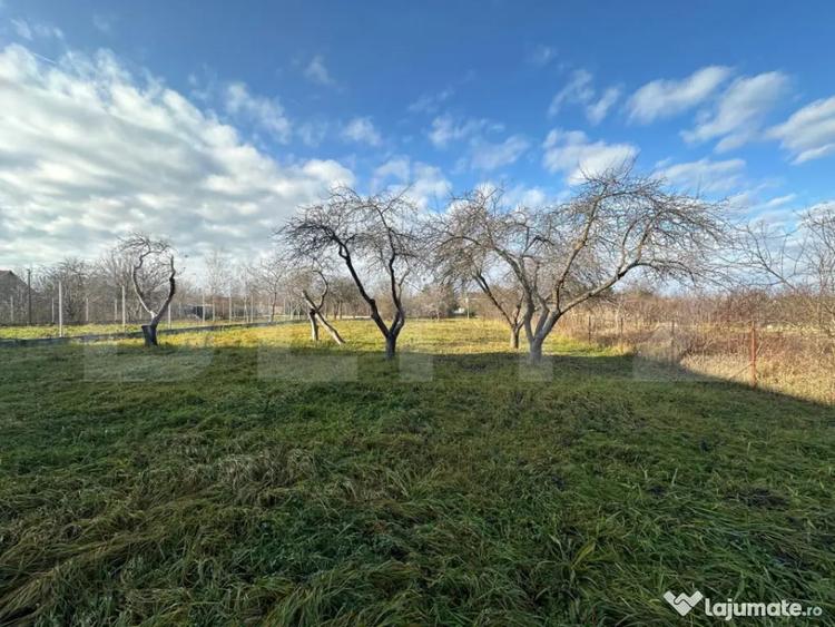 Teren de 2366 mp, în Bercu Roșu