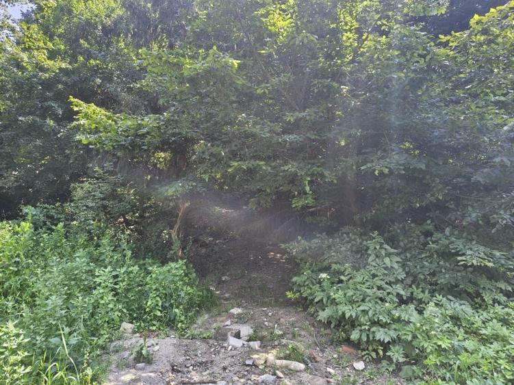 Teren Construcții intravilan de 1698 mp, în Vâlcele