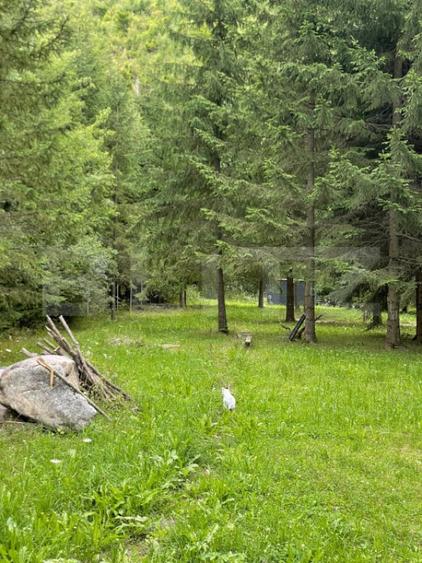 Cabana la munte cu sauna finlandeza ?i teren generos - 6