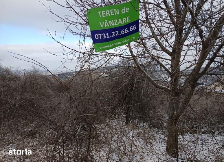 Teren de 11000 mp, în Tomești