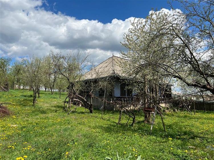 Teren intravilan de 4872 mp, în Antoceni